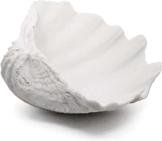 Sea shell