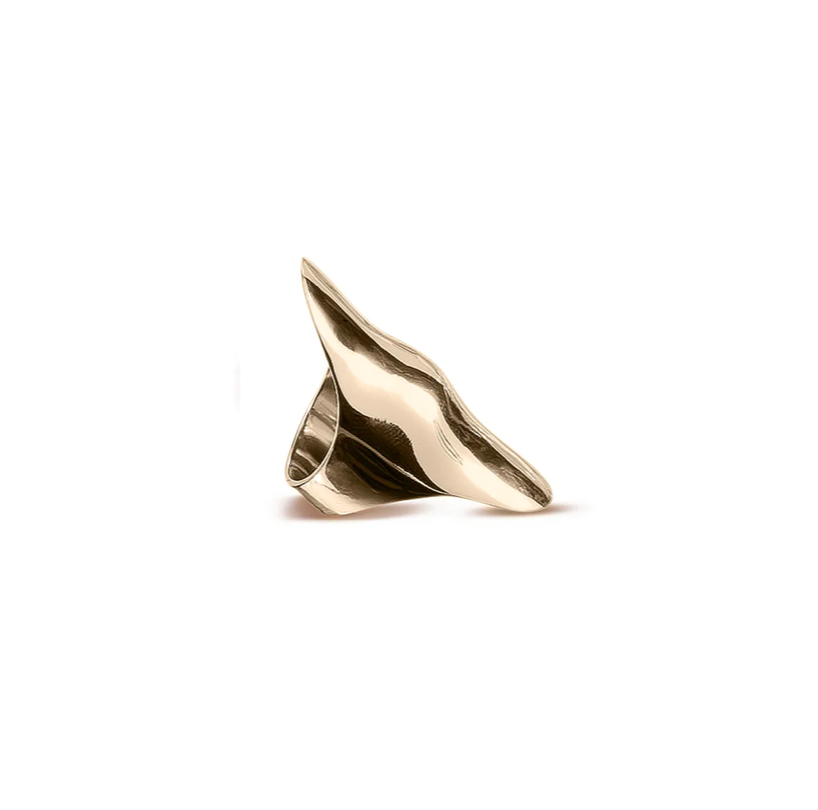 Anillo Armadura